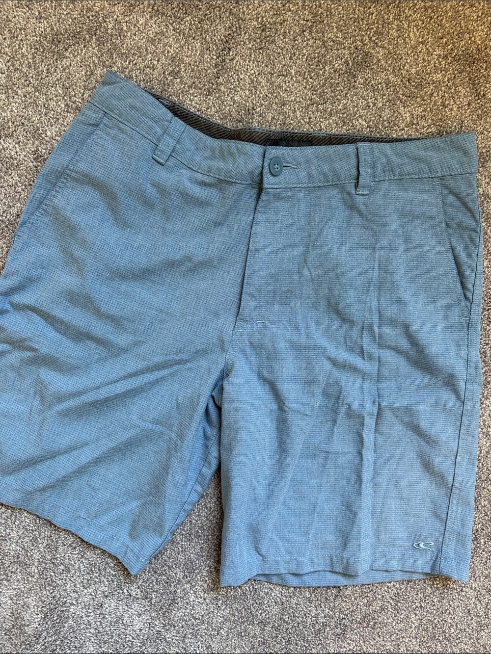 O'Neill Light Blue Performance Flat Front Shorts